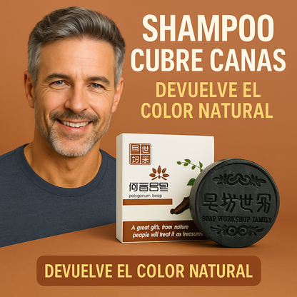 Recupera la fuerza y el tono natural de tu cabello con un sistema sólido de alta concentración botánica que detiene la caída y camufla las canas sin químicos agresivos. Paga Uno lleva Dos